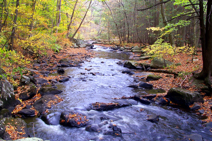 black river hackelbarney park